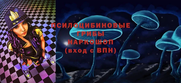 амф Белокуриха