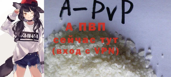 амф Белокуриха