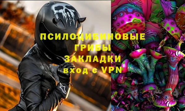 амф Белокуриха