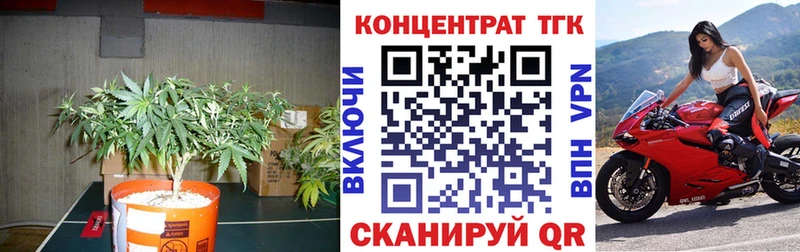 ТГК концентрат Железноводск