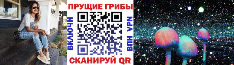 Галлюциногенные грибы мухоморы Железноводск
