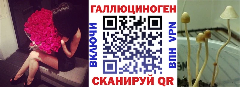 продажа наркотиков  Железноводск  это как зайти  Галлюциногенные грибы MAGIC MUSHROOMS 